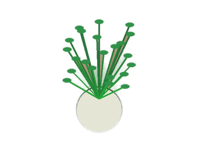 Case 2 white-background output